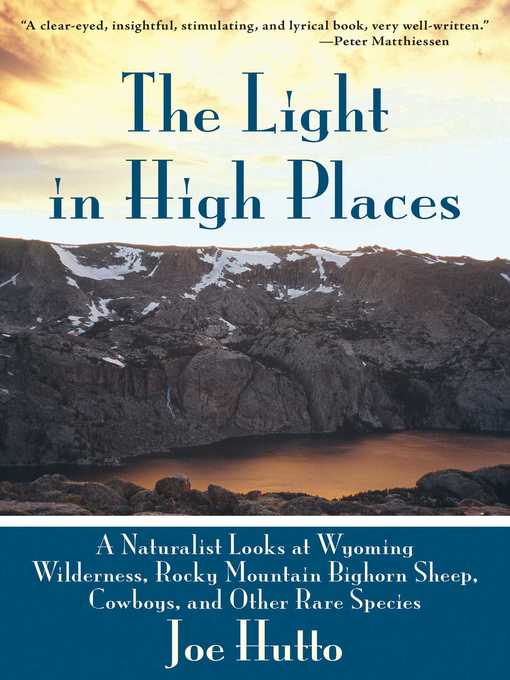 Title details for The Light in High Places by Joe Hutto - Available